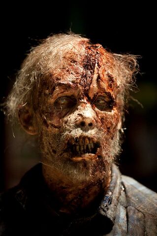 File:Cracked Face Walker 02.jpg