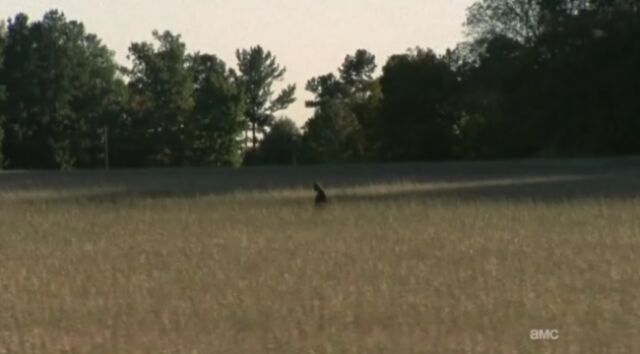 File:Field walker.jpg
