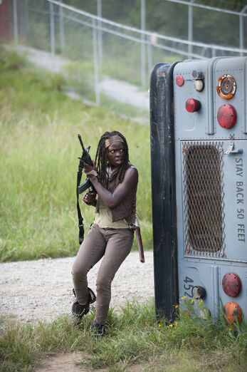 File:Twd-2.jpg
