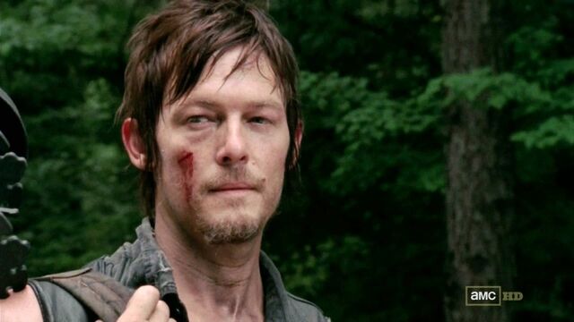 Plik:Daryl-Dixon-Walking-Dead.jpeg