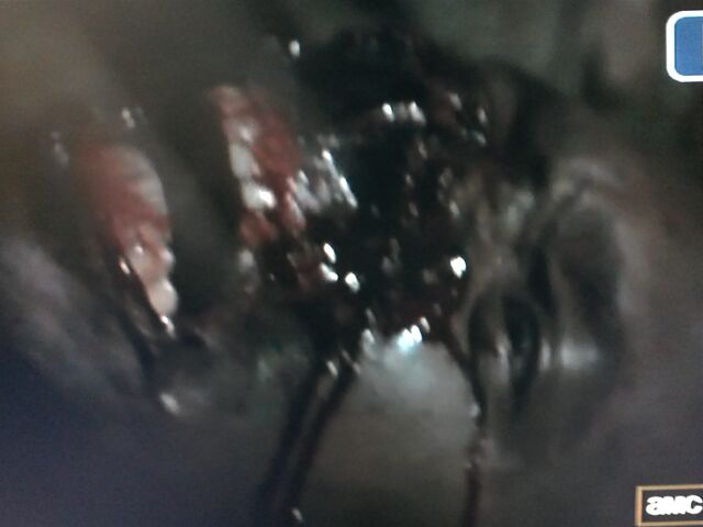 File:Walking Dead Sean.jpg