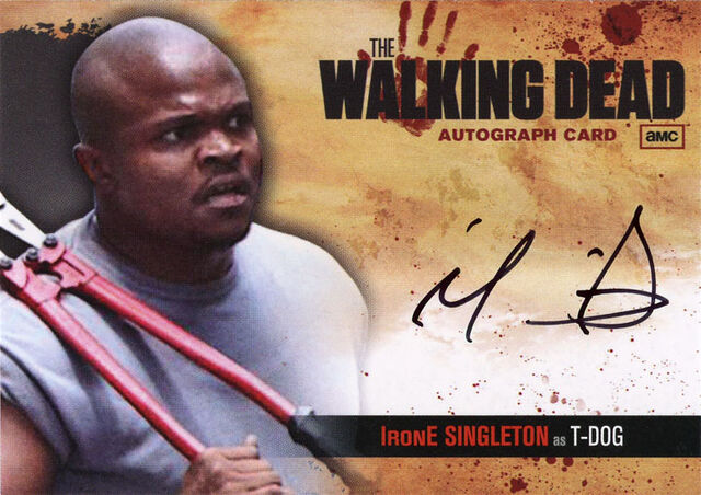 File:15 twd auto irone2.jpg