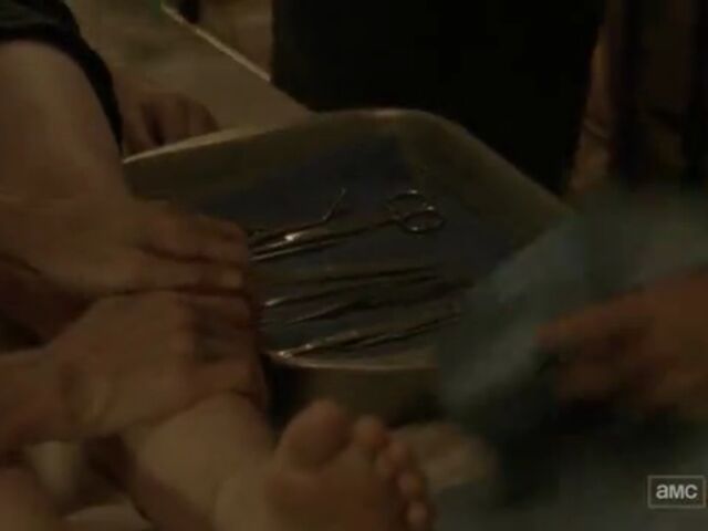 File:STLO TWD Images 057.jpeg