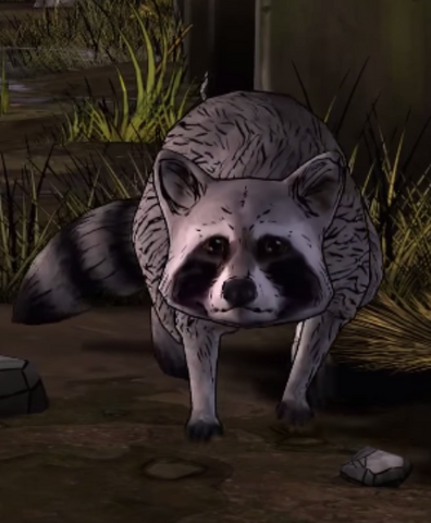File:AmTR Unnamed Raccoon.png