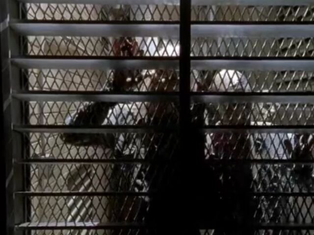 File:ST TWD Images 024.jpeg