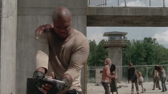 File:Twd304-001365.jpg