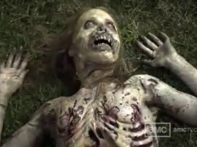 File:W1 TWD Images 052.jpeg