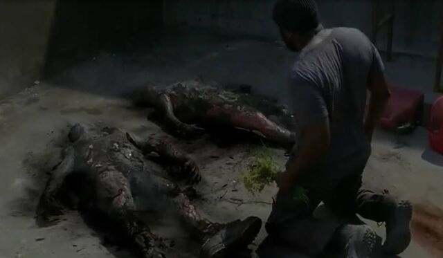 File:Final 4x02.jpg