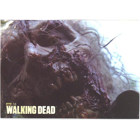 File:The Walking Dead - Sticker (Season 2) - S21.jpg