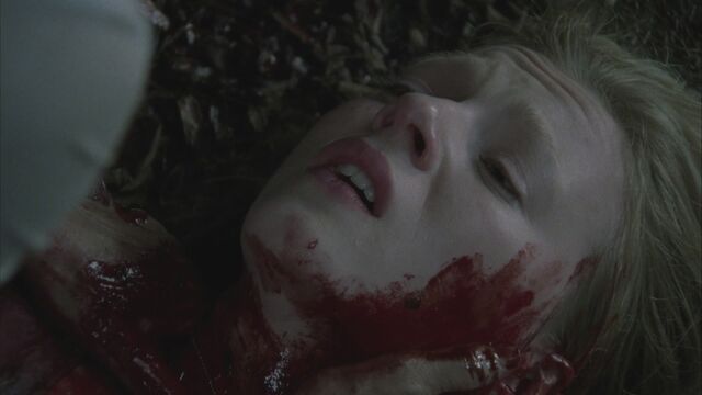 File:Twd104-002291.jpg