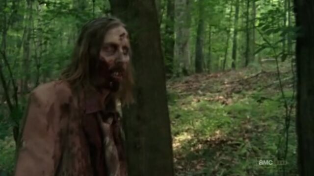 File:Stomach walker.jpg