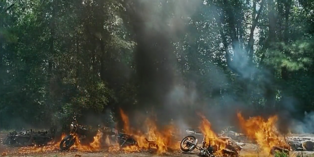 File:FieryBudandOthers.png