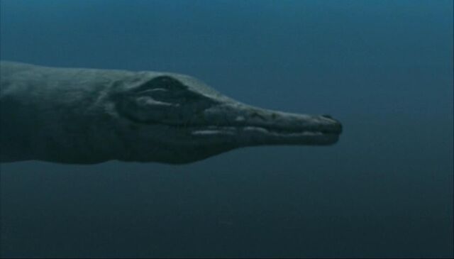 File:Metriorhynchus.jpg