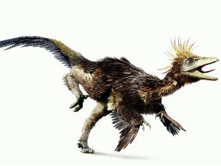 File:390403 007.jpg
