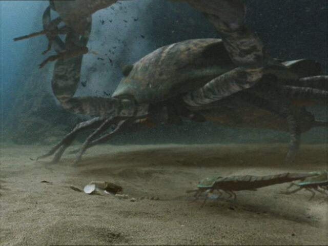 File:WWM1x1 Pterygotus.jpg