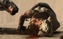 Dead Scutosaurus