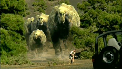 File:Herd of dinosaurs.jpg