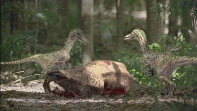 File:TGC VelociraptorPairKillsProtoceratops.jpg