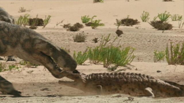 File:Labyrinthodont.jpg