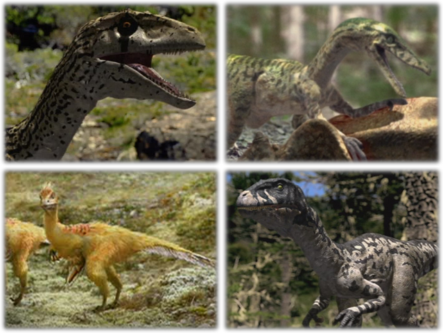 File:RaptorsCollage.png