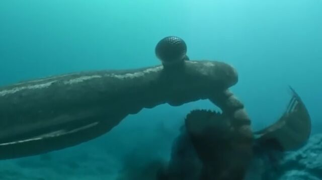 File:Anomalocaris slicing trilobite.jpg