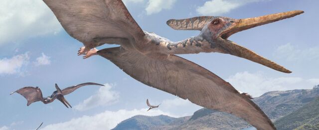 File:Pteranodon-WWD.jpg