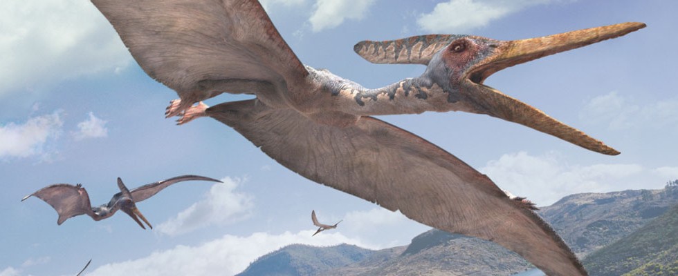pteranodon walking with dinosaurs