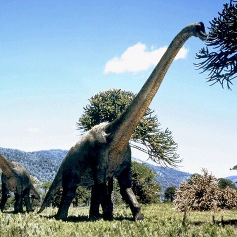 File:BrachiosaurusPromo.jpg