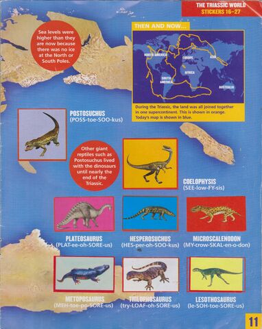 File:WWD Sticker Album Page 11.jpg