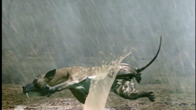 File:Rain storm.png