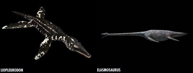 File:Plesisauridae.jpg