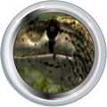 Thumbnail for version as of 08:03, September 25, 2010
