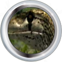 File:Badge-286-3.png