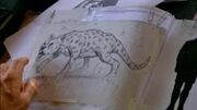 Marsupiallionsketch