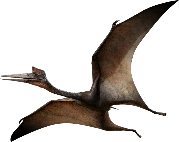 File:A.png
