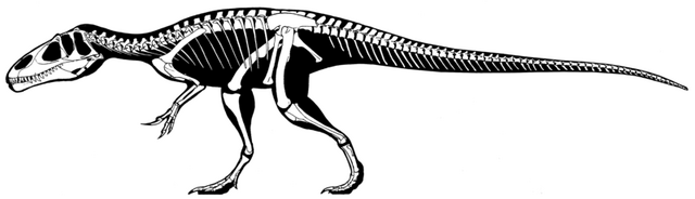File:800px-Eustreptospondylus oxoniensis skeleton.png