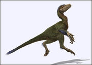 Dromaeosaur