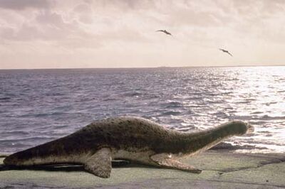 Cryptoclidus