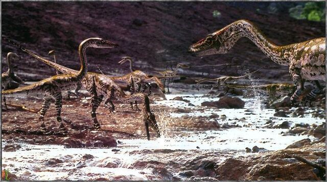 File:Coelophysis wwd.jpg