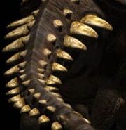 Polacanthus p2