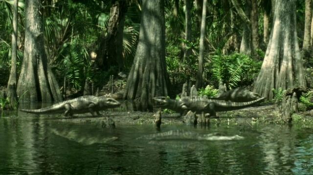 File:Amphibian gang.jpg