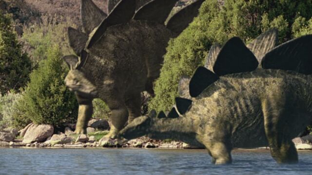 File:Stegosaurus-bigal-1.jpg
