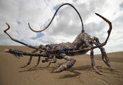 Prim Scorpion