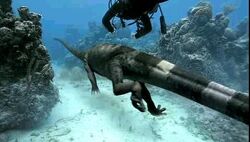 Tanystropheus