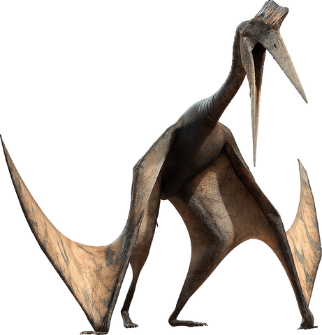 File:PterosaurWalk.png