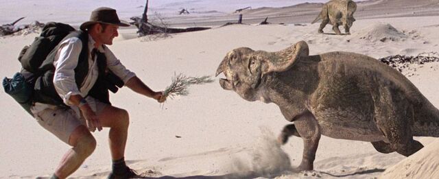 File:Protoceratops.jpg