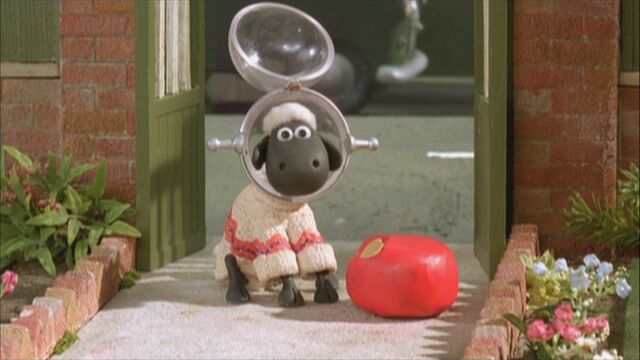 File:Shaun-cc-shopper-1.jpg