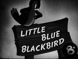 Littleblueblackbird-title
