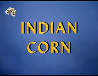 Indiancorn-title