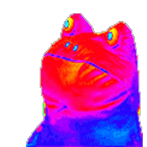 File:Dyssyncfrog.gif